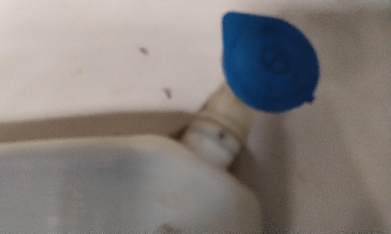 Windscreen Washer Bottle  Ford Fiesta Mk7 1.6 Litre Diesel 2009