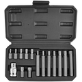15PCE TORX BIT SET T20, T25, T30, T40, T45, T50, T55