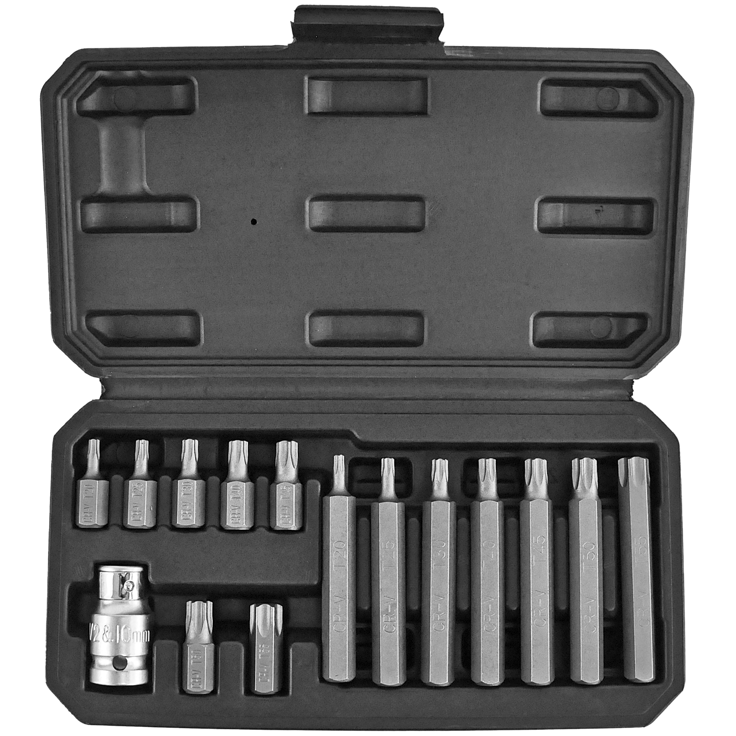 15PCE TORX BIT SET T20, T25, T30, T40, T45, T50, T55