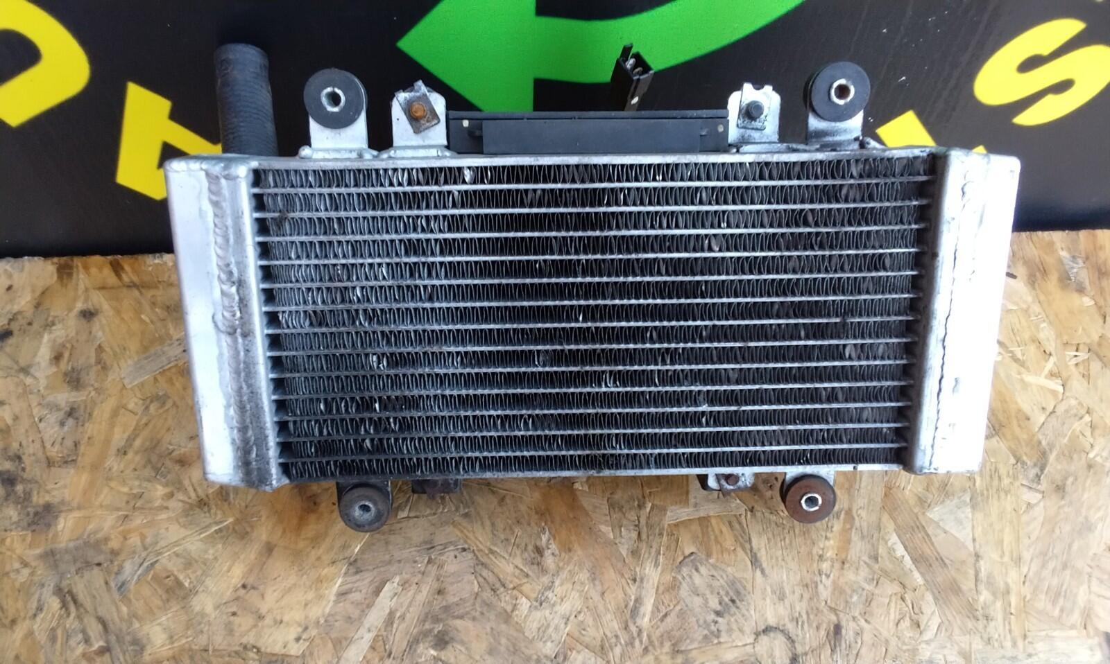 Kawasaki EX300 Ninja Radiator And Fan 2013 14k Miles Tested