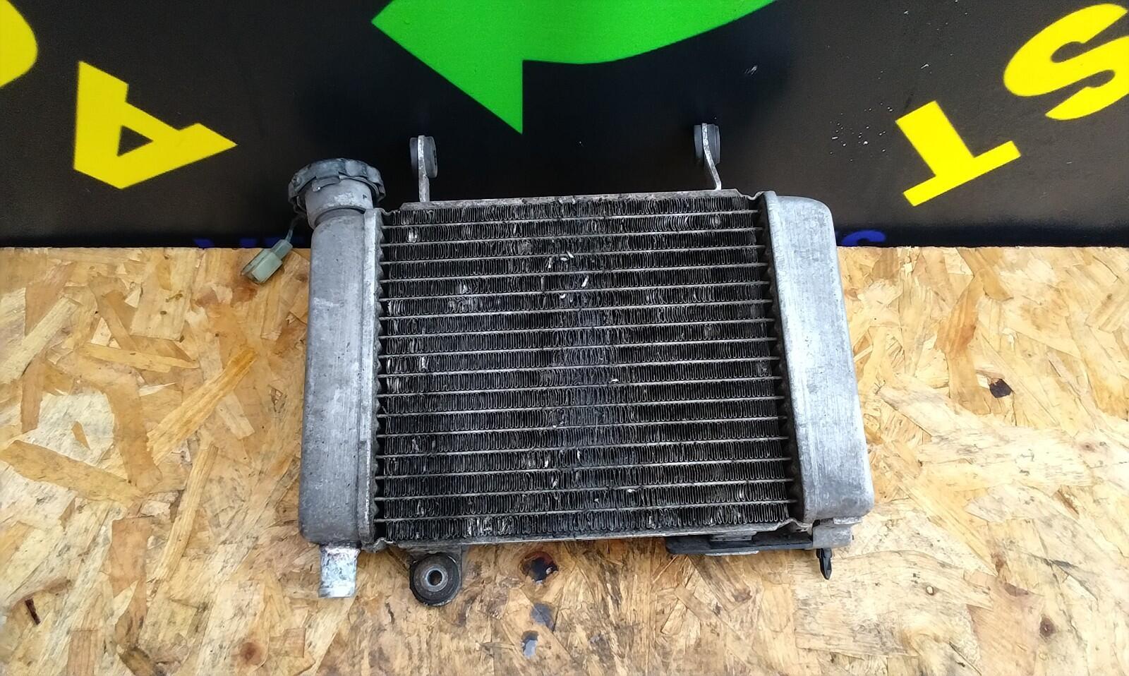Honda CBR 125cc Radiator With Fan 2014