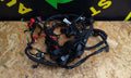 Zontes G1 Scambler 125cc Bike Complete Wiring Loom 2022 bike