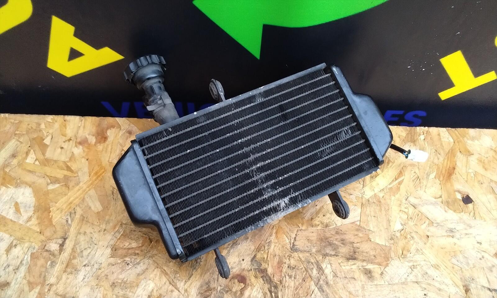 Zontes G1 Scambler 125cc Bike Radiator With Fan 2022