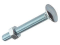 Carriage Bolt & Nut ZP M6 x 100mm Bag 10